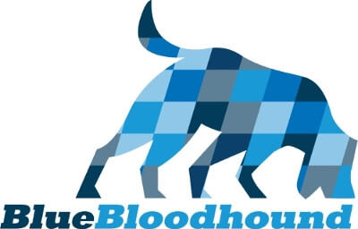 Blue Bloodhound